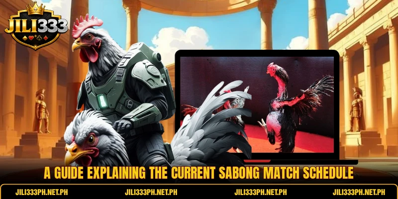 A guide explaining the current Sabong Match Schedule